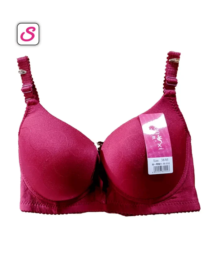 Super Elegant Comfy Wired Padded Bra SonaiBD 10055 (4)